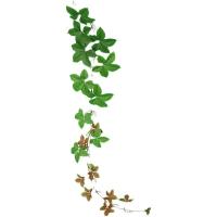 uploads/erp/collection/images/Home Garden/CongDing/XU0610971/img_b/XU0610971_img_b_5
